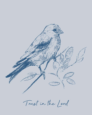 Image Not Available